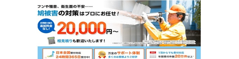 qlx98ȏ㔵̂ƂȂy110ԁzTCg